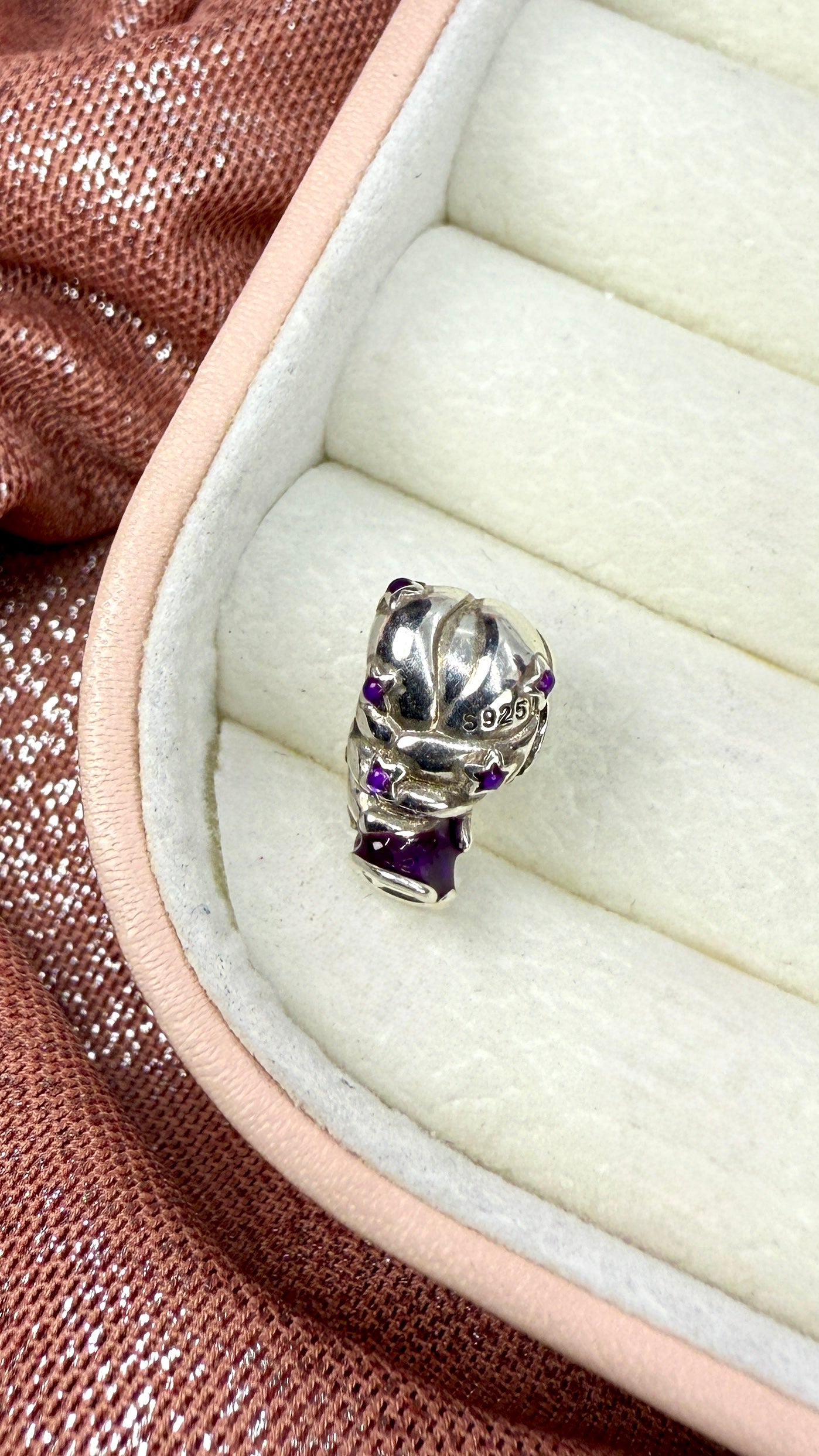 Charm dije princesa Rapunzel de Disney