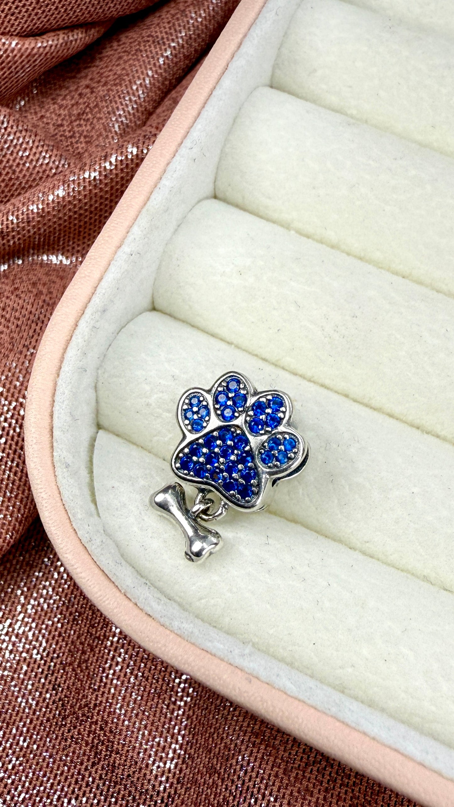 Charm Mascotas Huella Azul Hueso