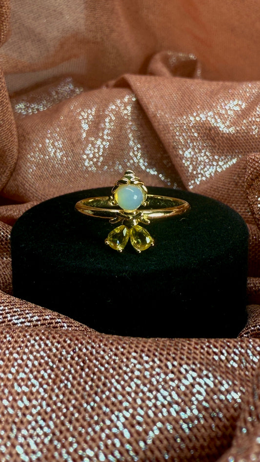 Anillo princesa bella figura