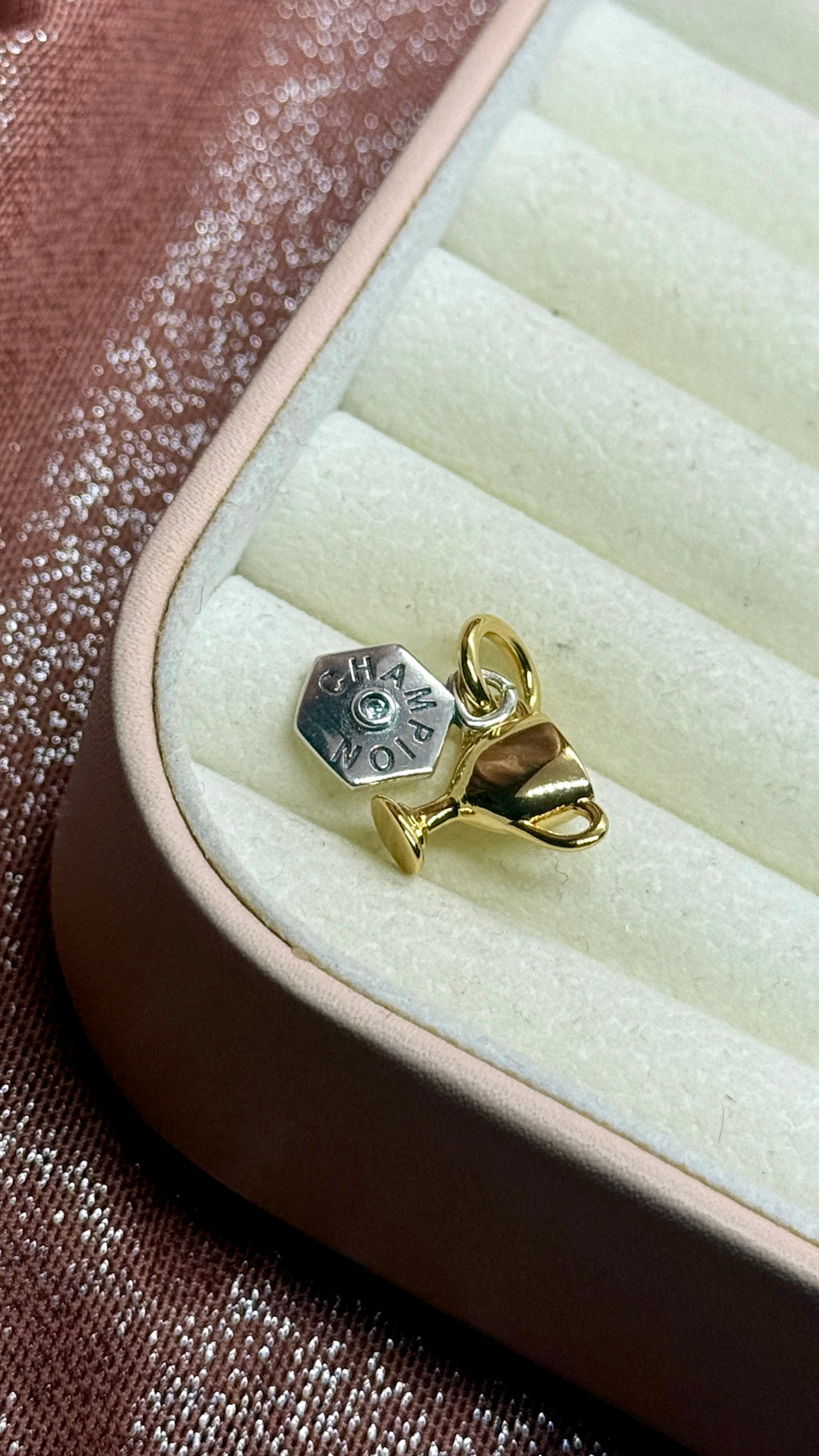 Charm dije Copa Mundial