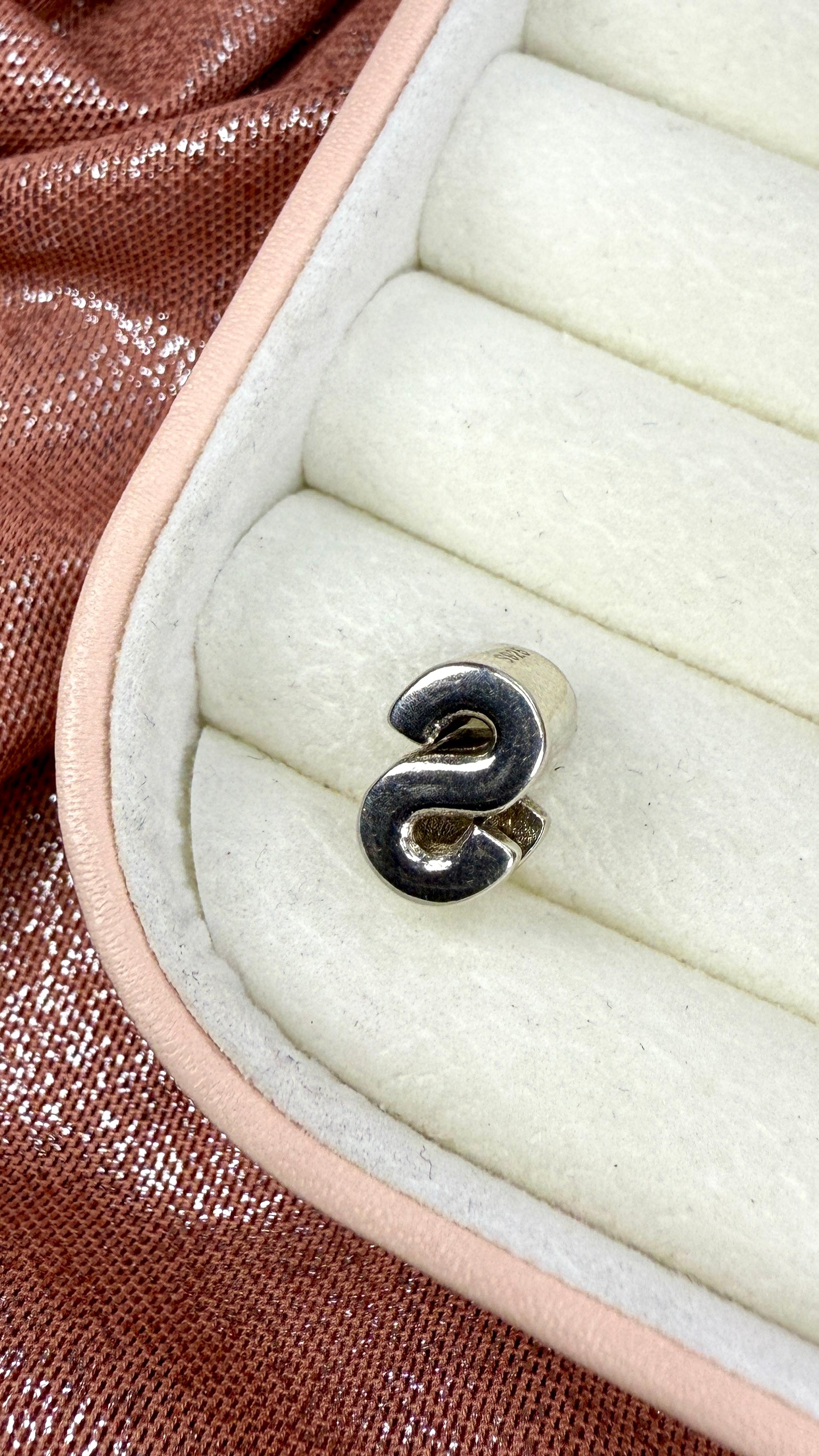 Charm Dije Colección Letra S
