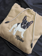 Hoodie mascota ilustracion 20cm