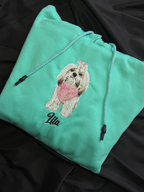 Hoodie mascota ilustracion 20cm