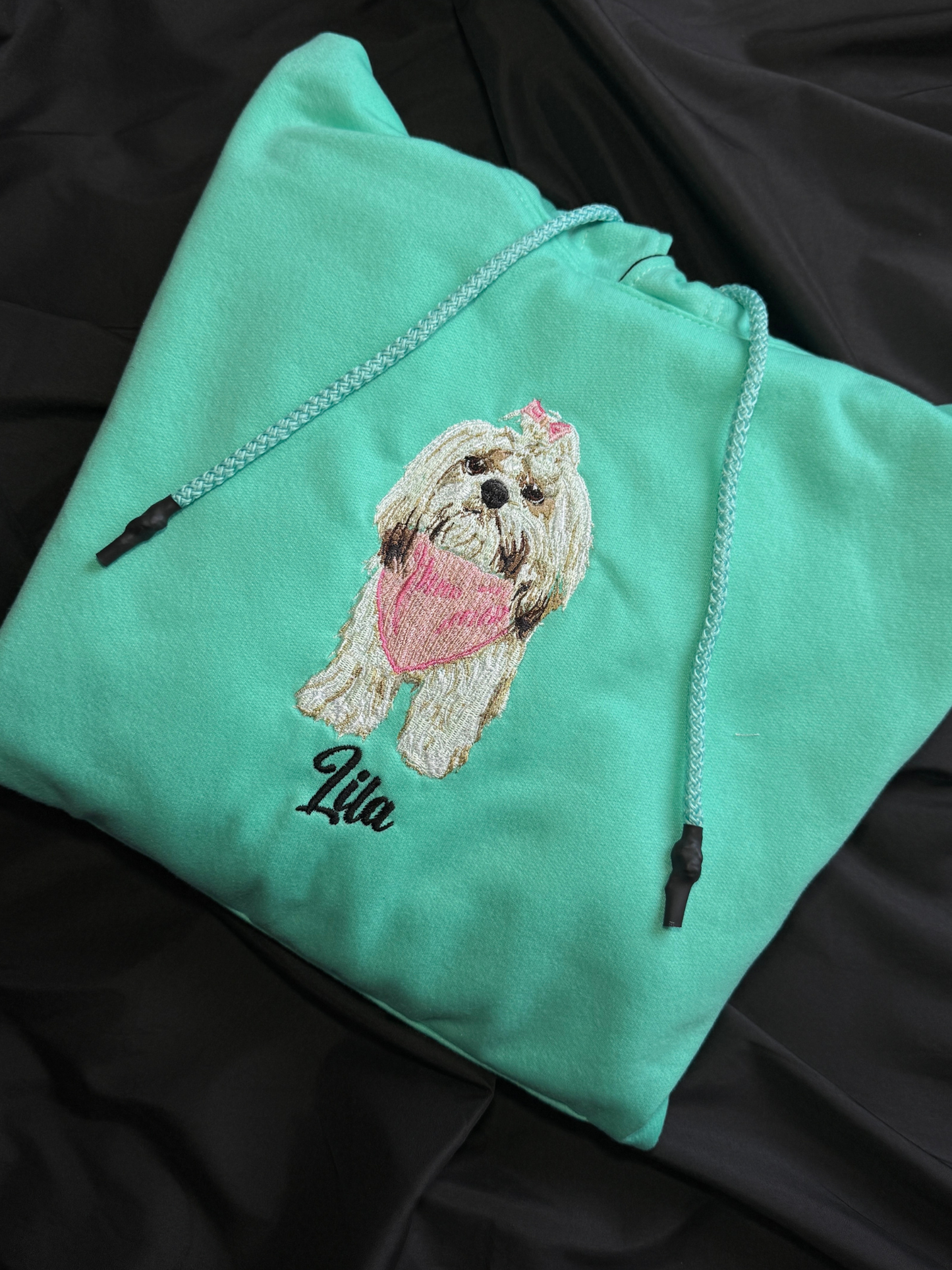 Hoodie mascota ilustracion 20cm