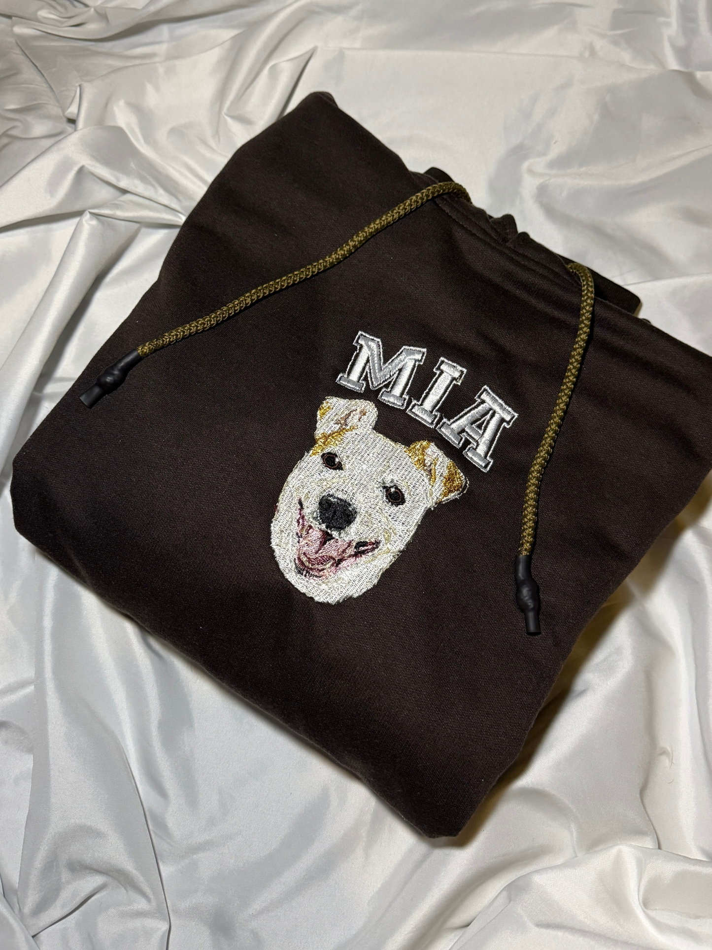 Hoodie mascota bordado con nombre estilo USA