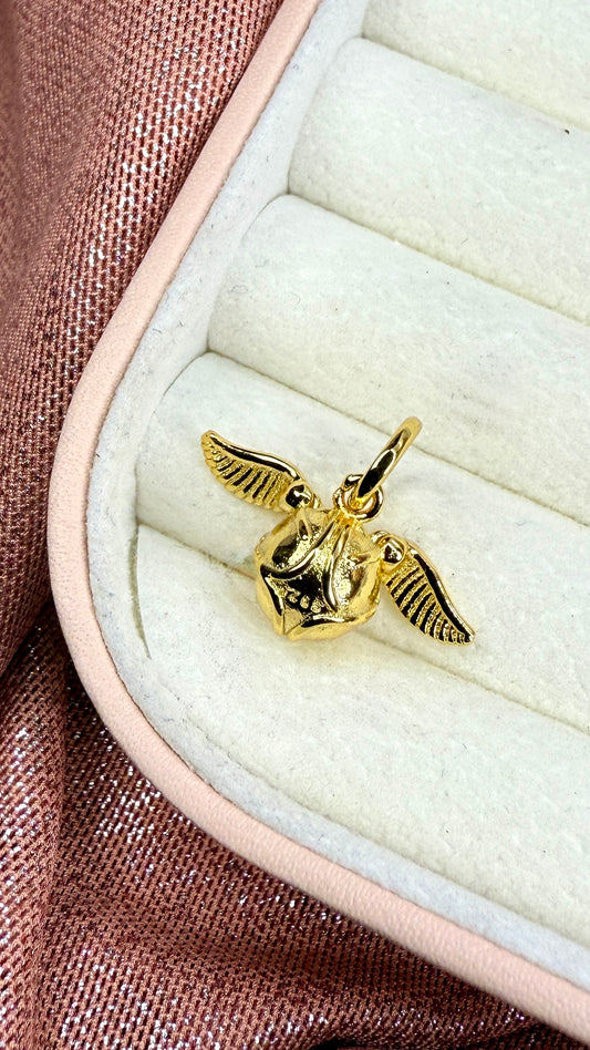 Charm Dije Harry Potter Quidditch Dorada